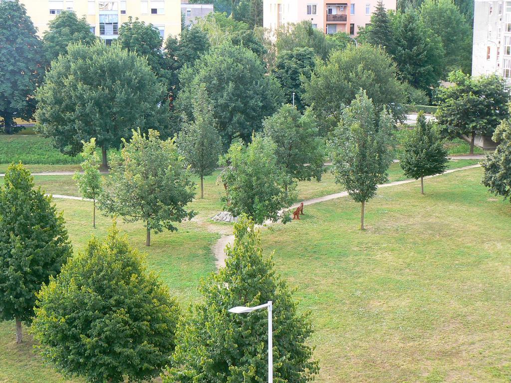 Csiga Apartment Sárvár Habitación foto